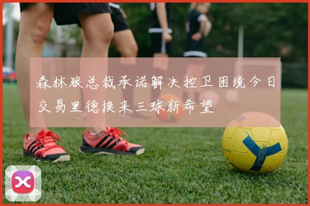 森林狼总裁承诺解决控卫困境今日交易里德换来三球新希望