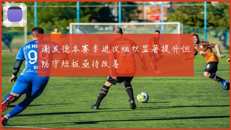 谢泼德本赛季进攻组织显著提升但防守短板亟待改善